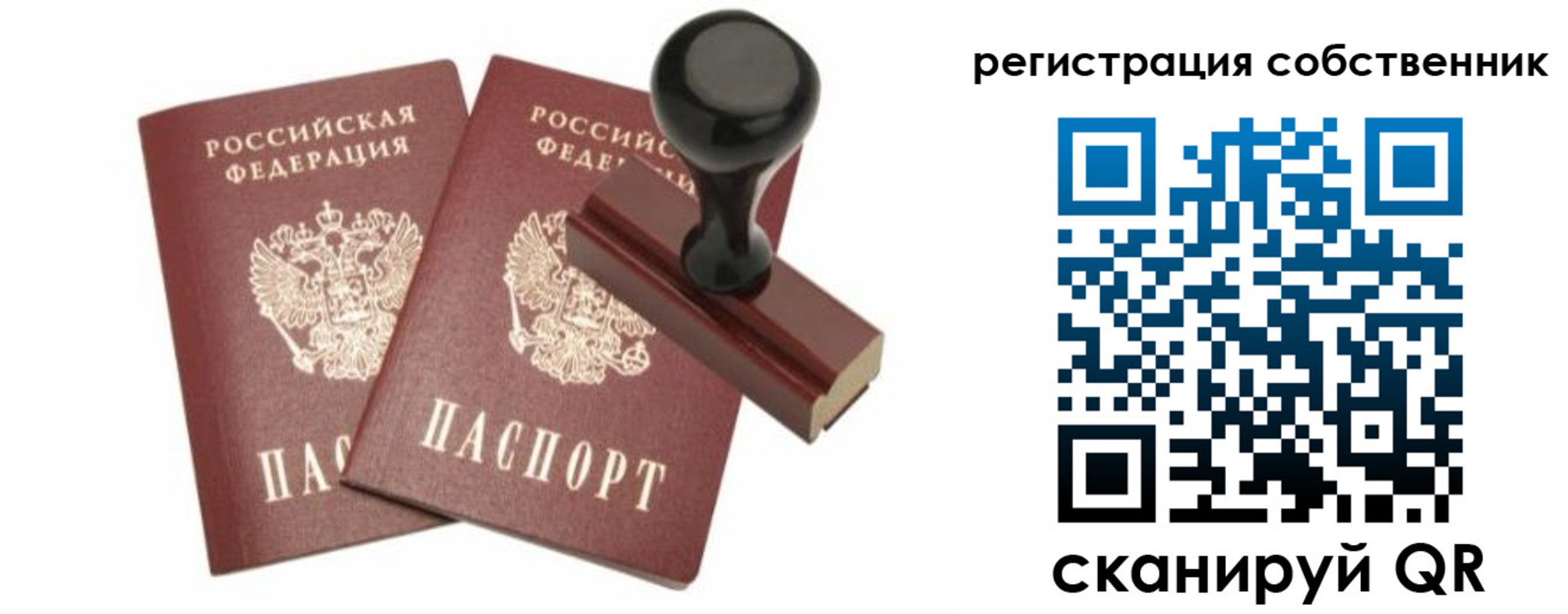 прописка паспорт в Ельне