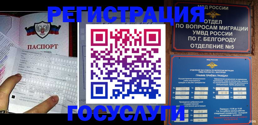 временная регистрация в квартире в Ельне